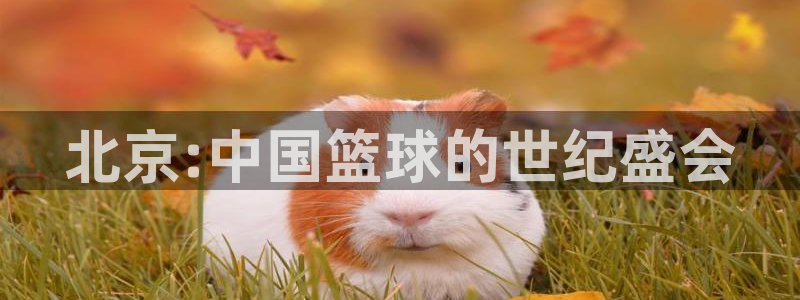 jn江南体育:北京:中国篮球的世纪盛会