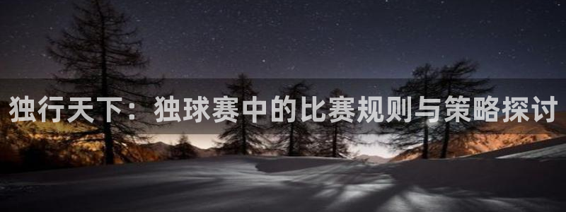 jn江南·体育最新官网入口:独行天下:独球赛中的比赛规则与策
